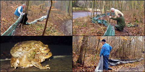 montage de photos sur la mise en place des barrages